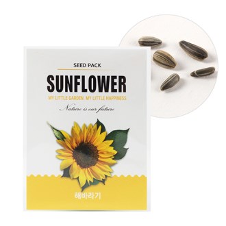 �̴� ������ ���� ����- �عٶ�� (�μ� ��ǰ) 