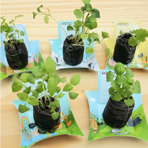 ������ ��Ʈ ����