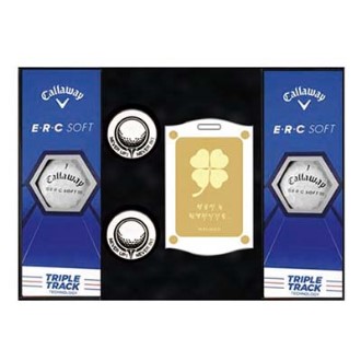 Ķ������ ����ERC TT 6�� ����Ŀ 2�� ������ �ιٸ� ���̽�