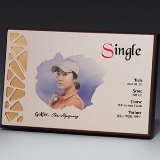 ���� �ι�ȭ �˷�̴� ���� Ʈ���� S8A014-12